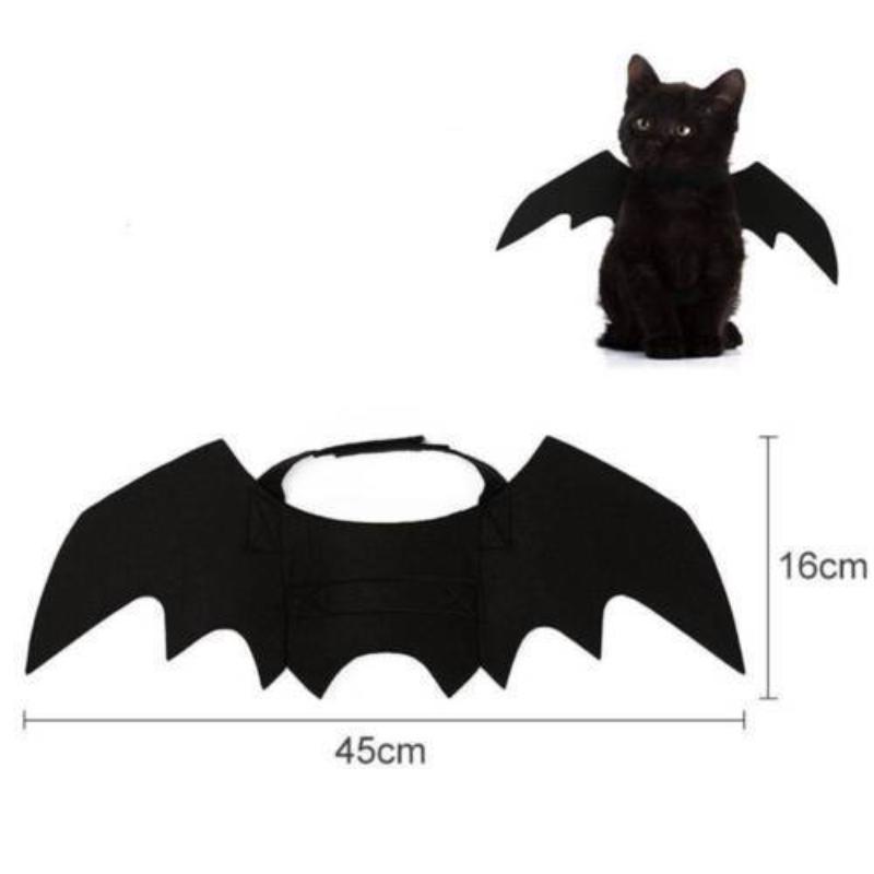 Costume Chat Ailes de Chauve-Souris