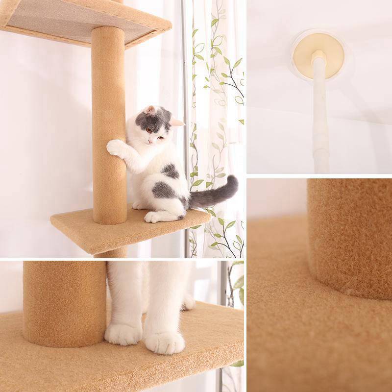 Arbre à Chat Hauteur Plafond Beige 