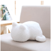3 Peluche Coussin Chat