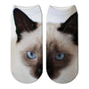 Chaussettes Chat   Fantaisie de Siamois