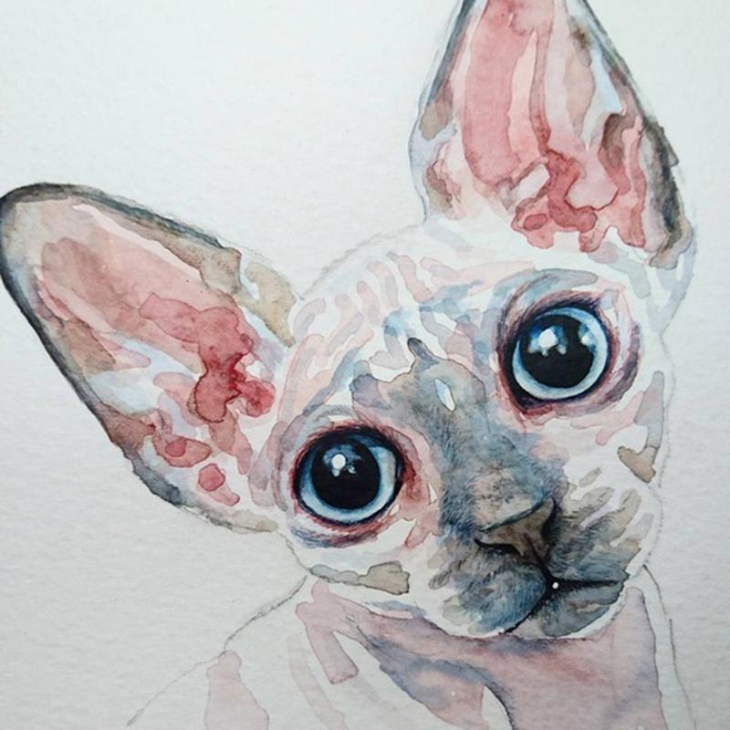 Peinture Chat Sphynx