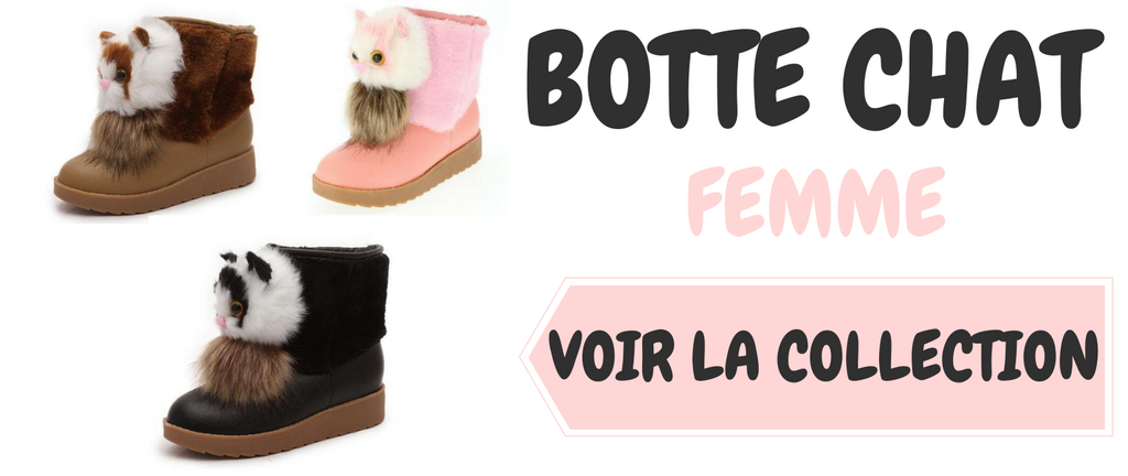 5 Faits sur les Chats Abyssins