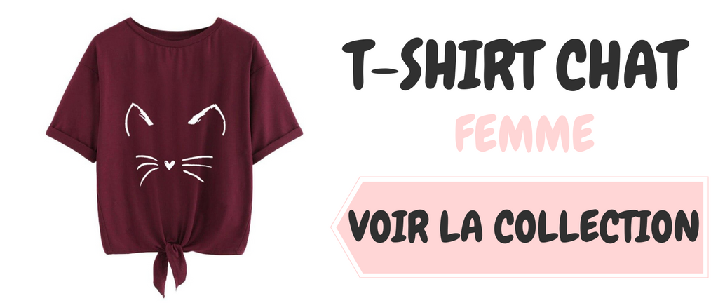 5 signes de chat mal domestiqué