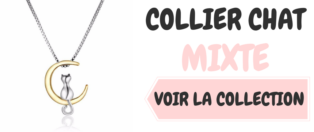 Combien de temps dort un chat ?