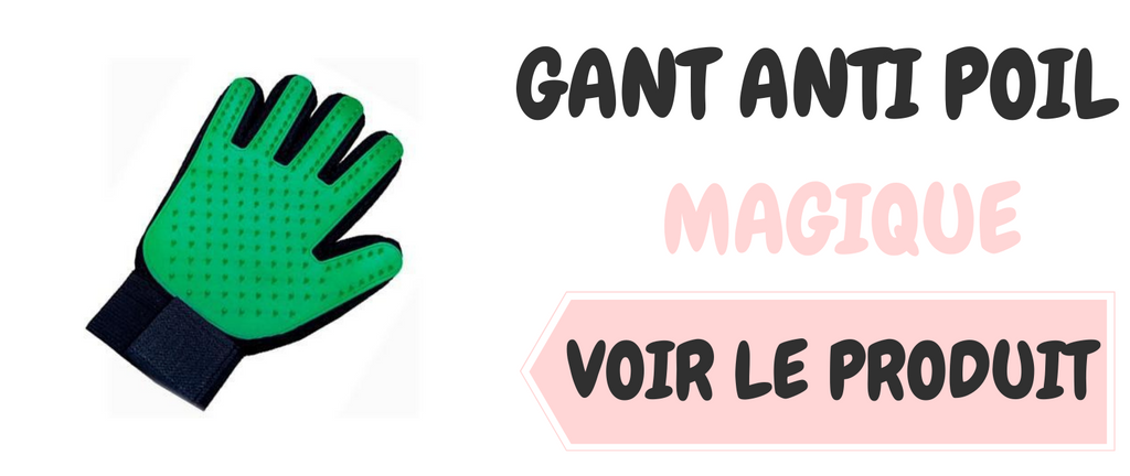 4 façons de réduire la perte de poils des chats