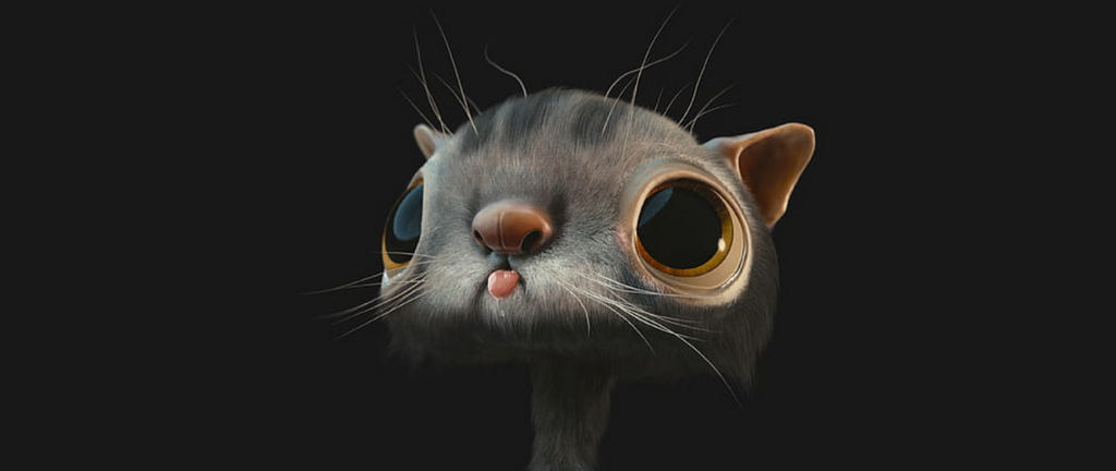 6 Faits sur les Moustaches des Chats