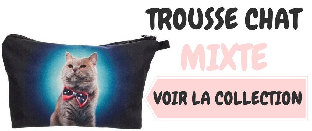 6 signes d’anxiété chez votre chat