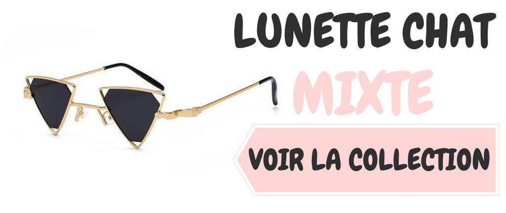 9 faits fascinants sur les chats siamois