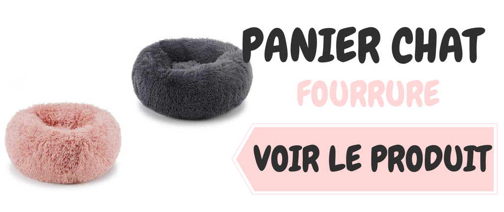 Pourquoi mon chat ne dort pas dans son panier ?