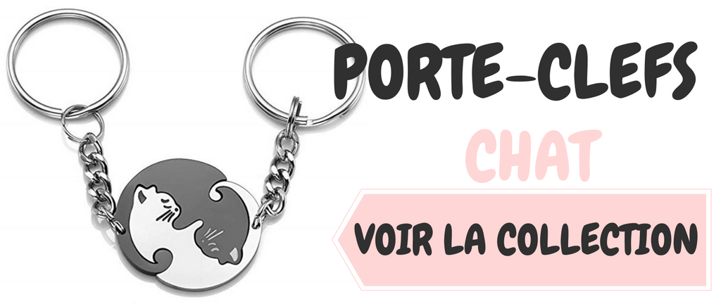 Pourquoi mon chat miaule la nuit ?