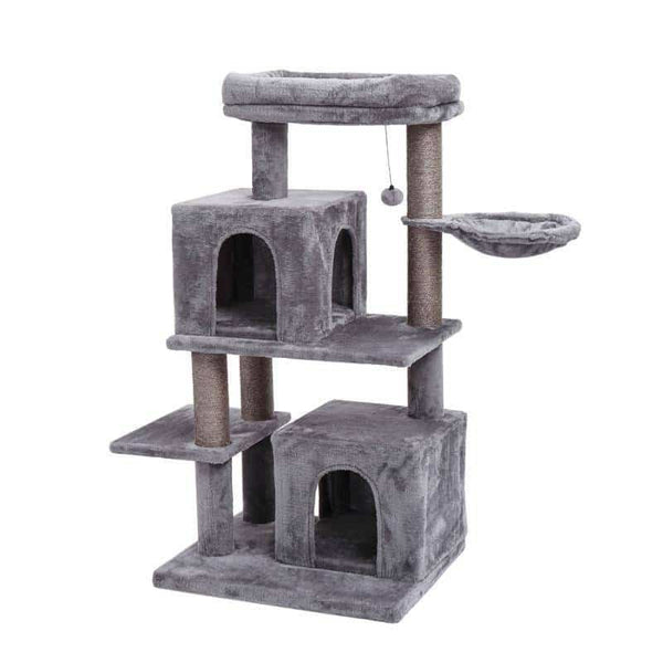 Arbre à chat chaton & adulte