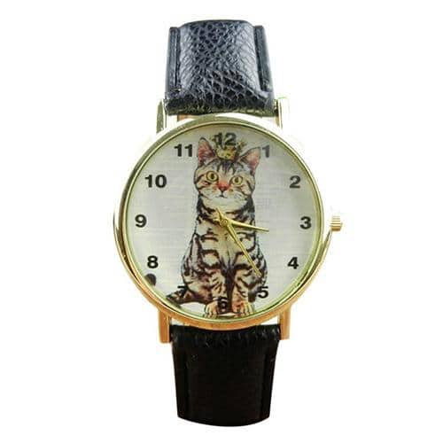 Montre Chat European Shorthair